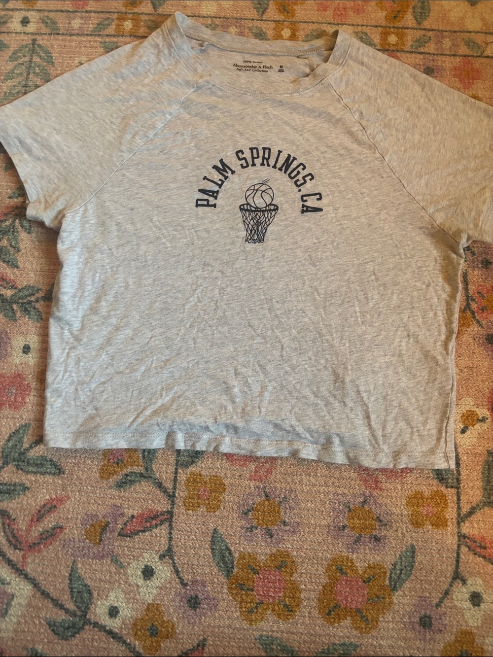 Abercrombie & Fitch Light Gray Palm Springs CA Graphic Tee